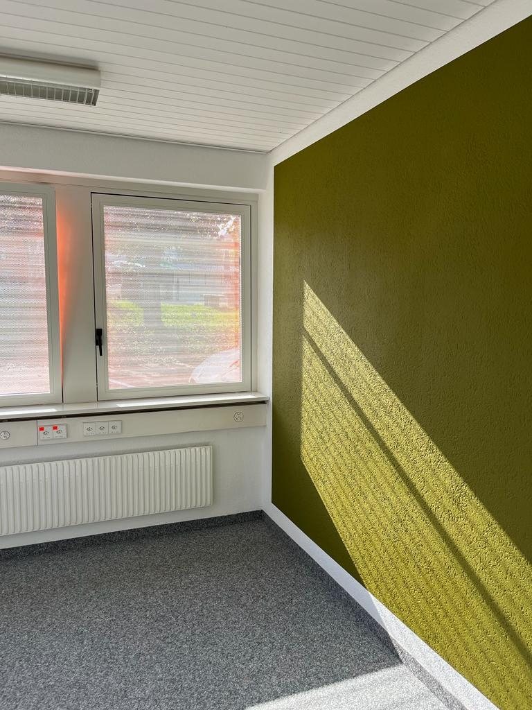 Leerer Raum mit olivgrün gestrichener Strukturwand im schrägen Sonnenlicht